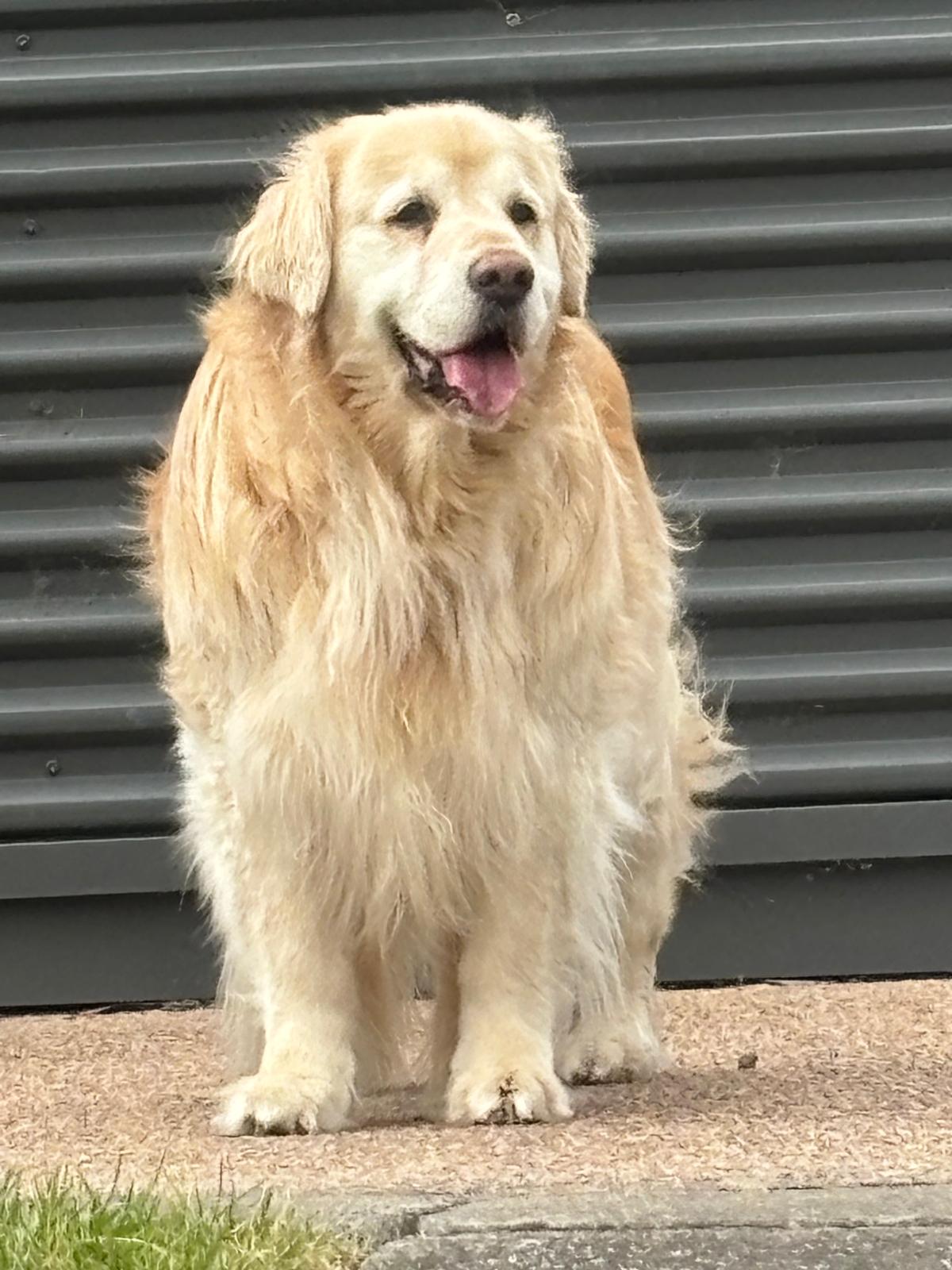 PHOTO 2026 03 06 14 02 38