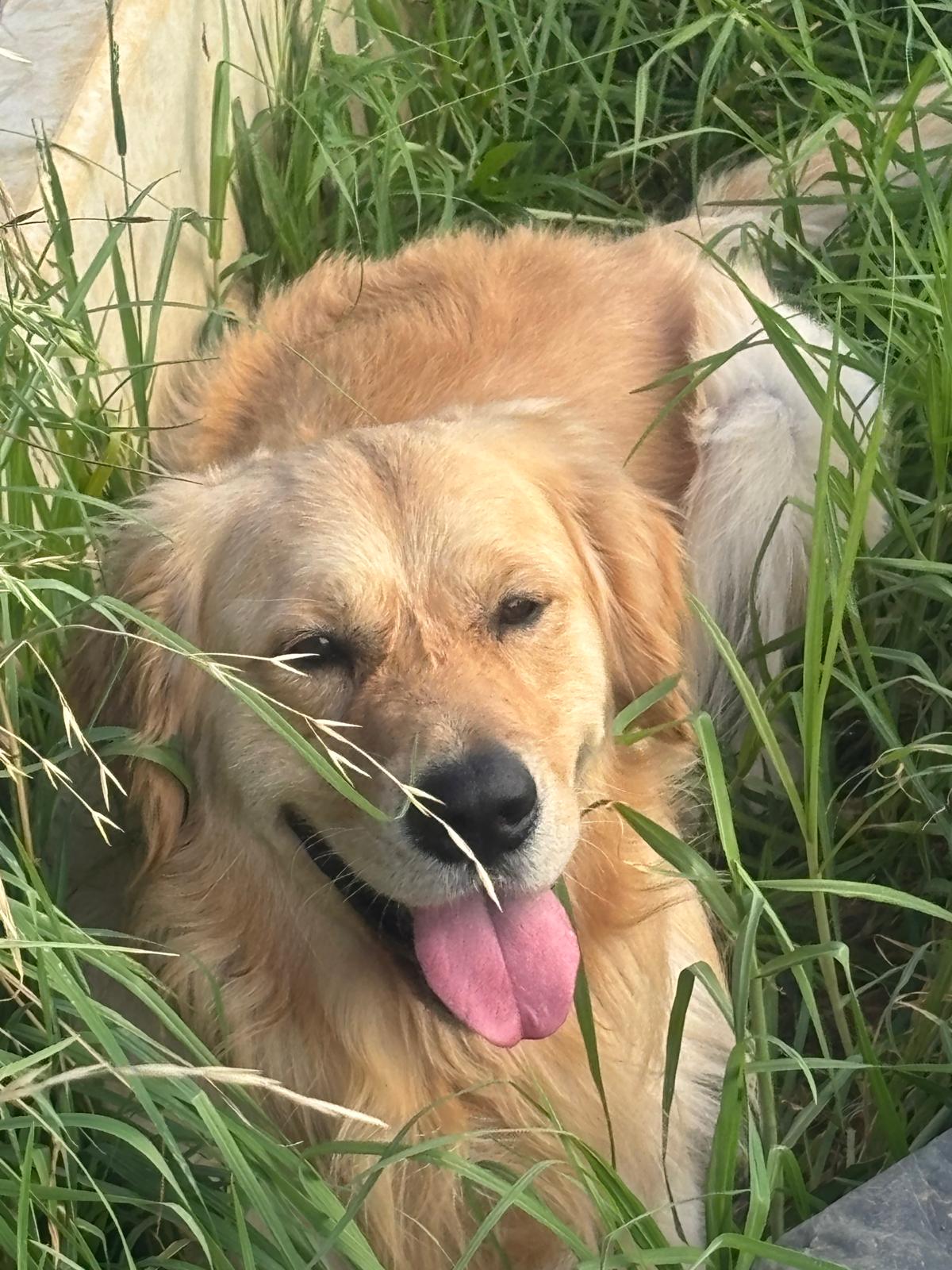 PHOTO 2026 03 06 14 03 53